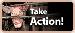 Take Action!