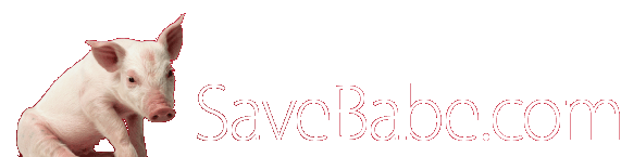 SaveBabe.com Homepage SaveBabe.com